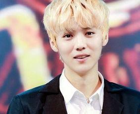 港媒爆料鹿晗视频合集下载,鹿晗视频合集下载全攻略，独家资源大放送！